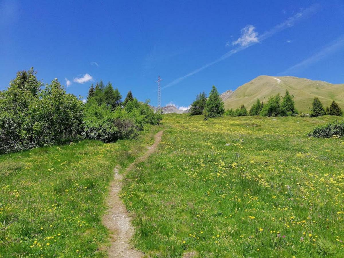 Hotel Gardenia Passo del Tonale Zewnętrze zdjęcie